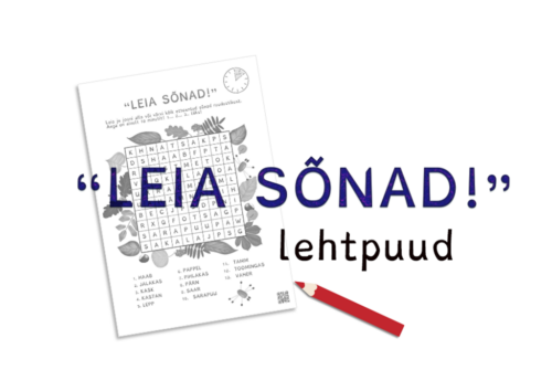 Leia sõnad – lehtpuud