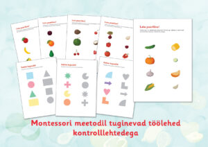 Leia paariline / sobita kujundid